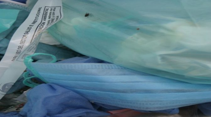 Recomiendan uso de cubrebocas lavables para evitar más contaminación en mares (Vértigo Político)