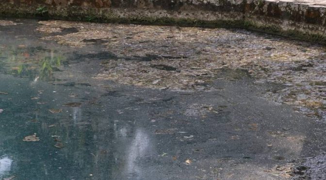 Veracruz: Pobladores de Cuautlapan exigen mejores condiciones de agua potable (El Sol de Córdoba)