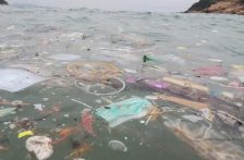 Mundo – Tres estudiantes crean un método revolucionario para eliminar microplásticos del agua potable (Infobae)