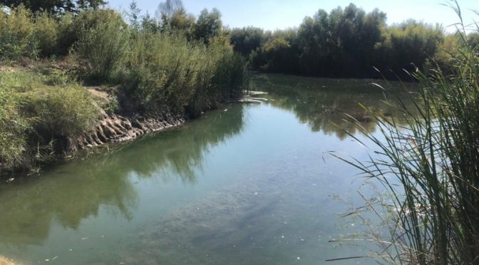 CHH: Sostiene la Conagua que están asegurados el abasto de agua para riego y la atención a trámites ingresados en la dirección local de Chihuahua tras despido masivo de ayer (El Puntero)