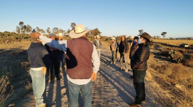 Hidalgo: Ya afecta a ganadería bordes de agua vacíos (El Sol de Hidalgo)