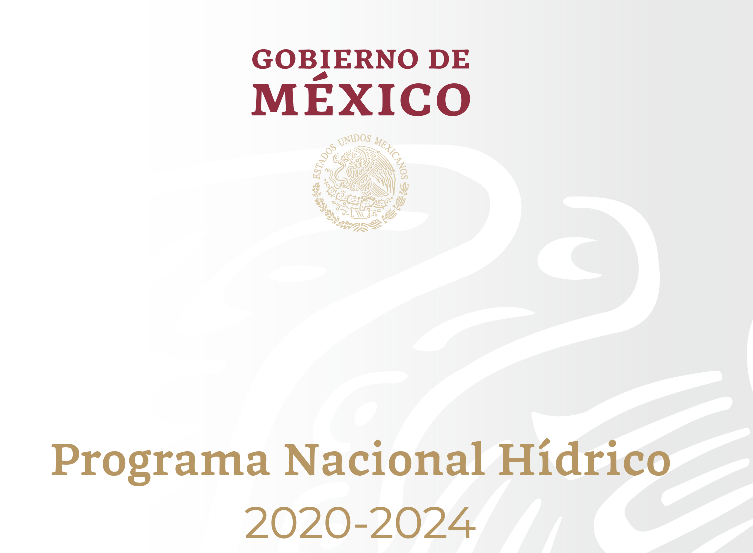 Comisión Nacional del Agua: Programa Nacional Hídrico 2020-2024
