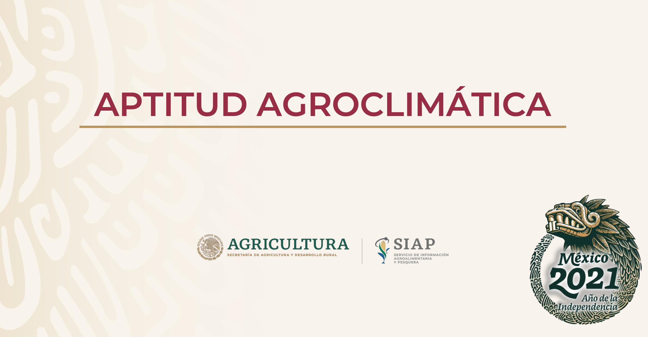 Conferencia Elia Guerrero (SIAP)-Expectativas Agroclimáticas 2021