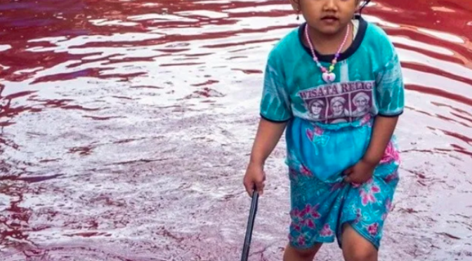 India: El agua de una aldea india se vuelve de color tras inundarse una fábrica de teñidos (El Imparcial)