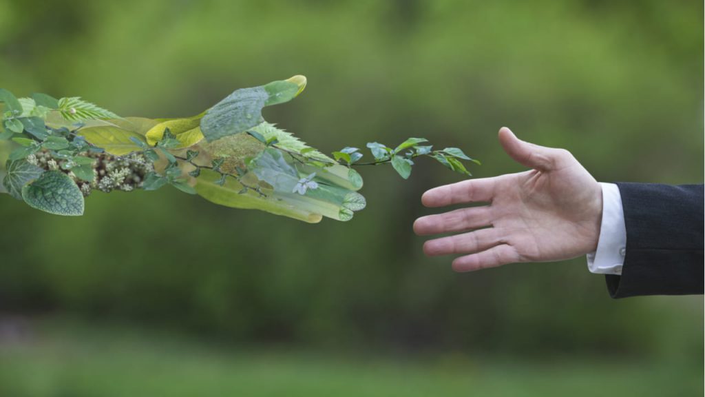 Soluciones Basadas En La Naturaleza Mx 9557