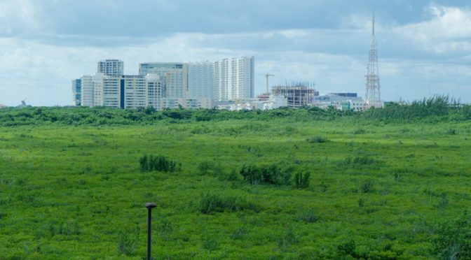 Quintana Roo: La mafia agraria despoja a ejidatarios de sus terrenos en la península de Yucatán (Palco Noticias)