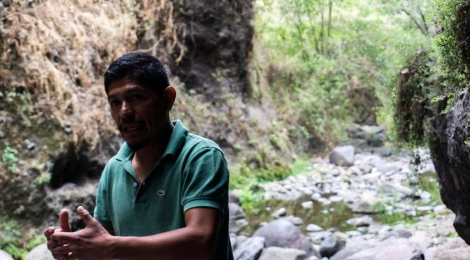 Morelos- Simulación, contradicciones y represión: 2 años del asesinato de Samir Flores, el activista opositor a la termoeléctrica de AMLO (Infobae)
