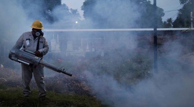 MX: Pese a la presión de EUA, México no retrocede en la prohibición del glifosato (Portal Ambiental)