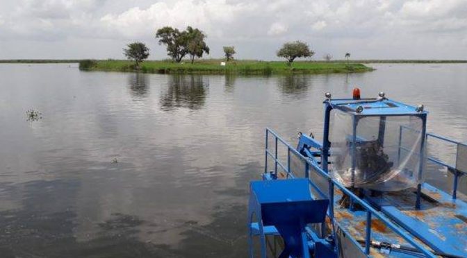 Tamaulipas: Prevén crisis del agua a causa de bajo nivel del sistema lagunario (MILENIO)