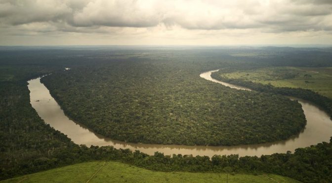 La deforestación amazónica llega hasta Francia (EL PAÍS)