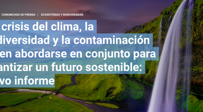 Las crisis del clima, la biodiversidad y la contaminación deben abordarse en conjunto para garantizar un futuro sostenible: nuevo informe (unep.org)