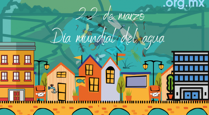 Declaración sobre el Día Mundial del Agua (ACNUDH)