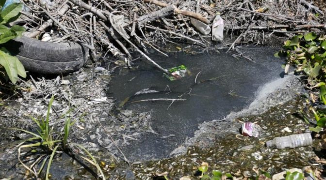 Puebla-Contaminación del río Atoyac (Milenio)