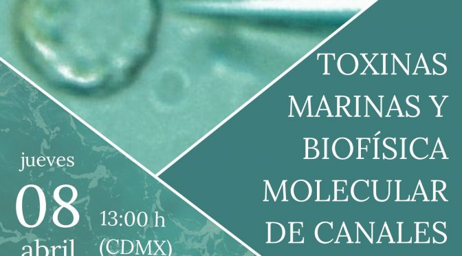 #WebinarioICML 2021- Toxinas marinas y biofísica molecular de canales iónicos
