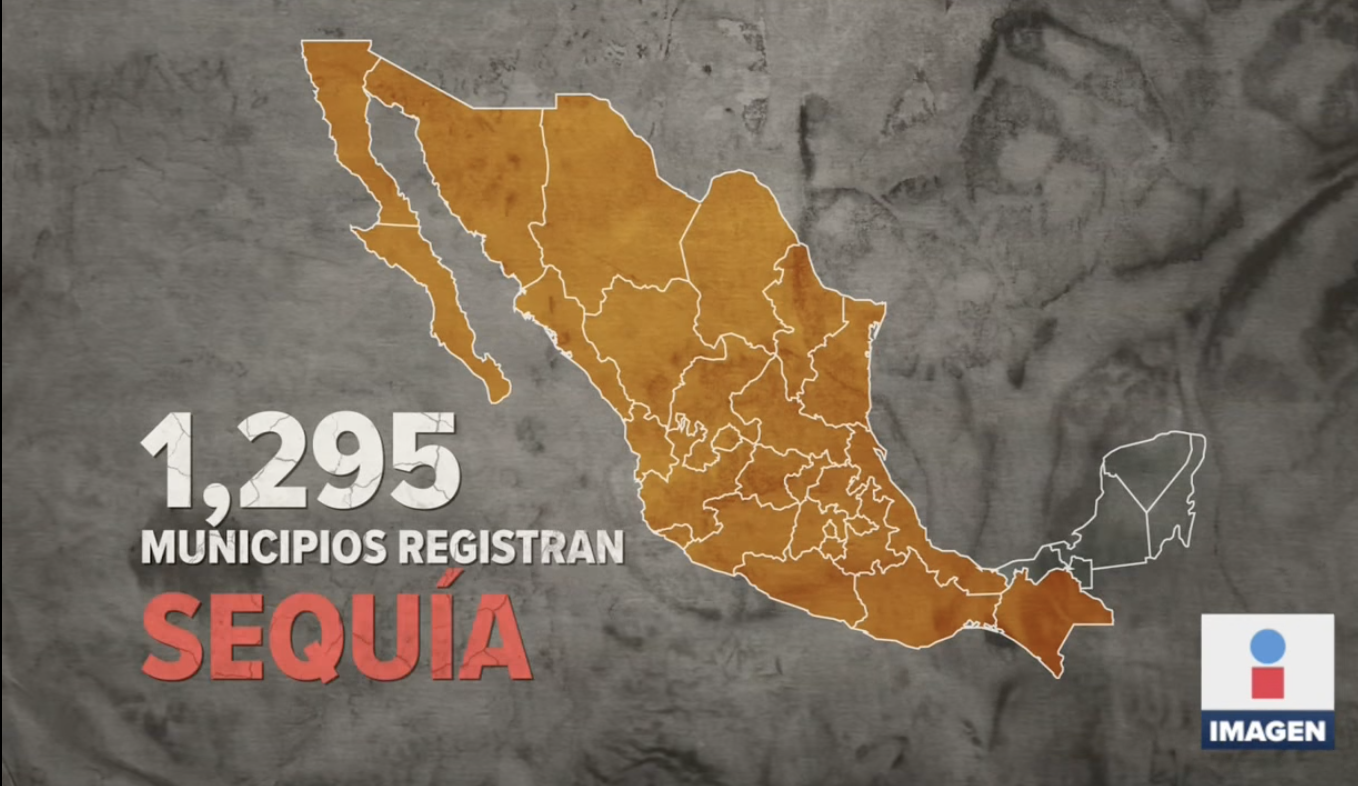 El 71% de México está afectado por una sequía: Conagua (Video)