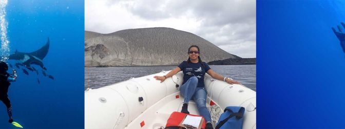 México: Analizan bioindicadores del estrés por buceo turístico en mantas gigantes (Portal Ambiental)