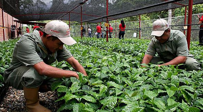 México: Debe la agroecología guiar al campo mexicano por desarrollo sustentable (DGS UNAM)