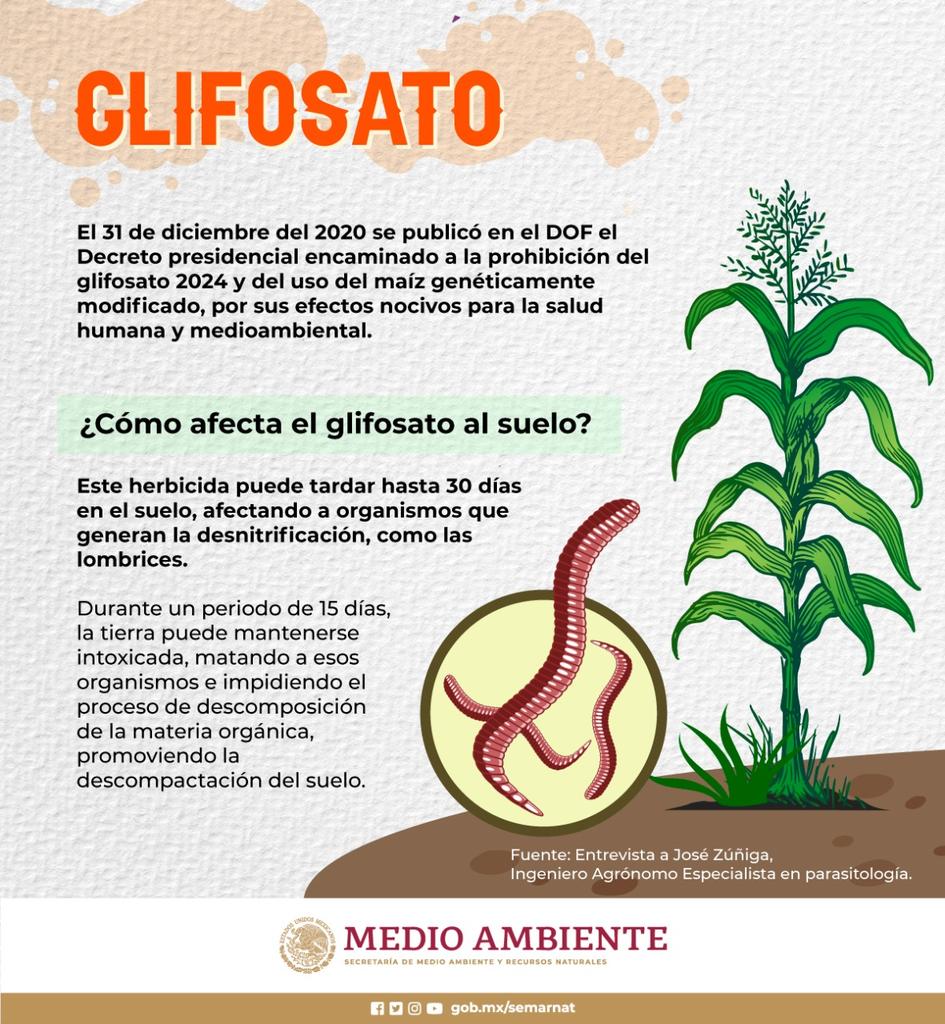 ¿Cómo afecta el glisofato al suelo? (Infografía)