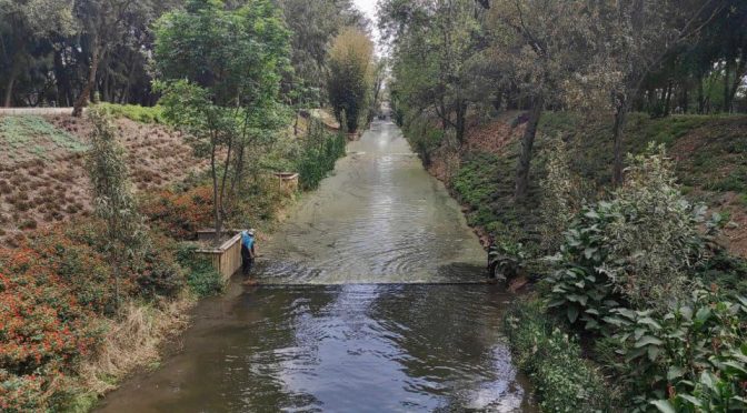 Ciudad de México: Impulsan restauración ecológica en Canal Nacional de la CDMX (Portal Ambiental)