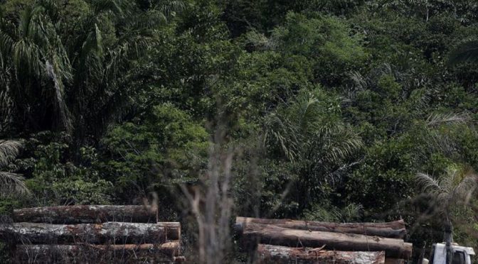 Río de Janeiro: Deforestación en la Amazonía brasileña rompe récord en marzo (Portal Ambiental)