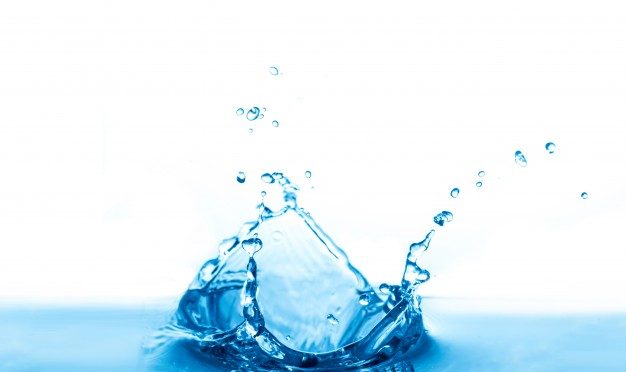 Agua: vida y futuro (Milenio)