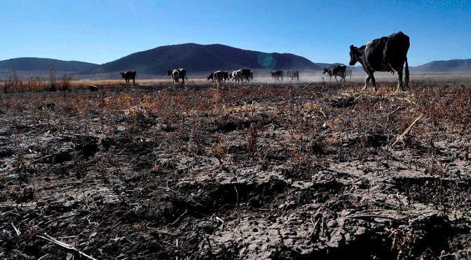 CDMX: La sequía se agudiza en México: casi 84% del país está afectado. Podría afectar el ciclo agrícola (Sin Embargo)