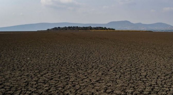 Sequía en México: 4 imágenes satelitales que muestran los graves efectos de la escasez de lluvias (BBC News)