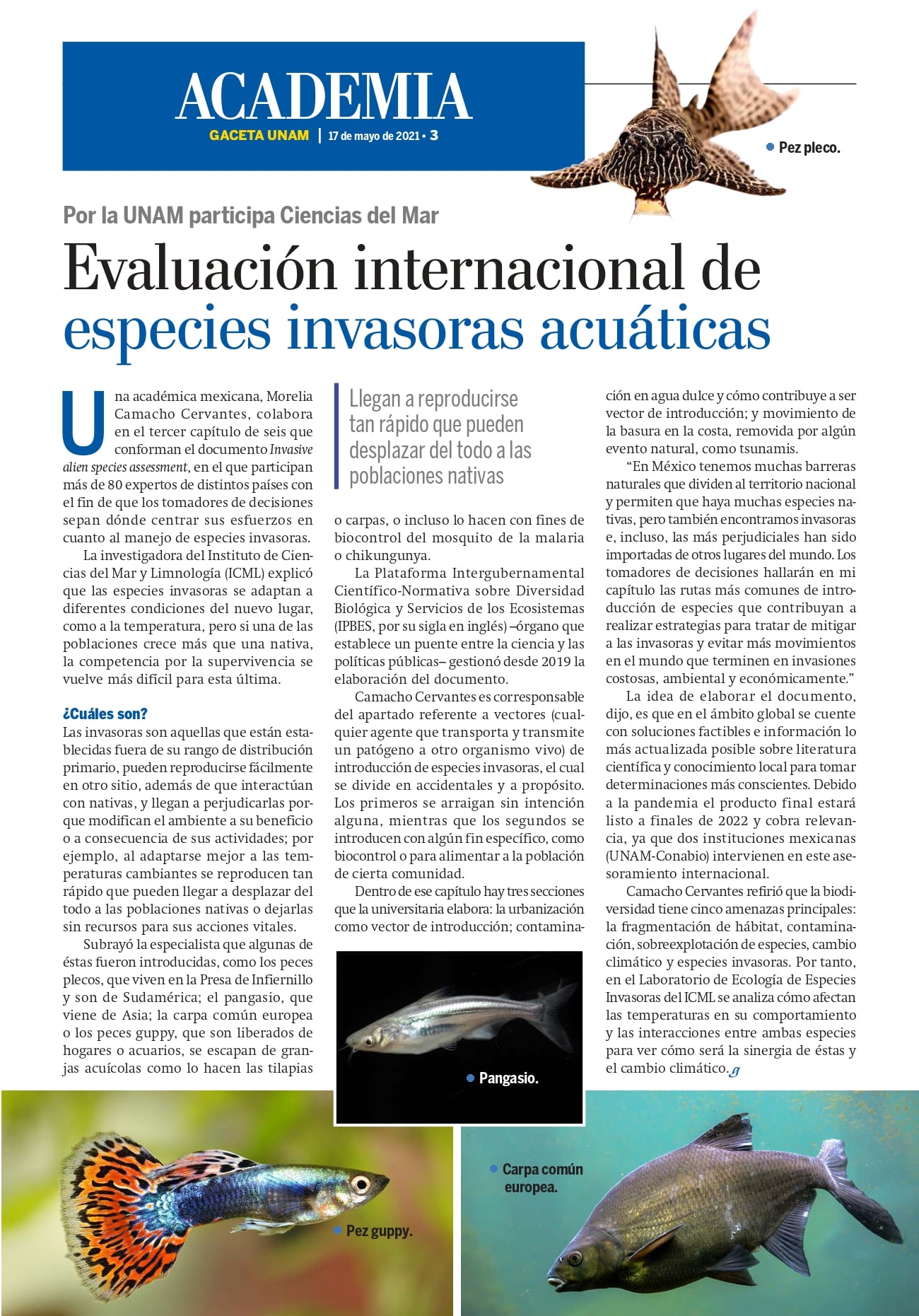Evaluación internacional de especies invasoras acuáticas