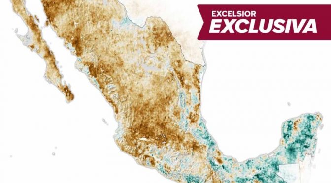 La sequía deshidrata a México, ¿qué puedes hacer para cuidar el agua? (Excelsior)