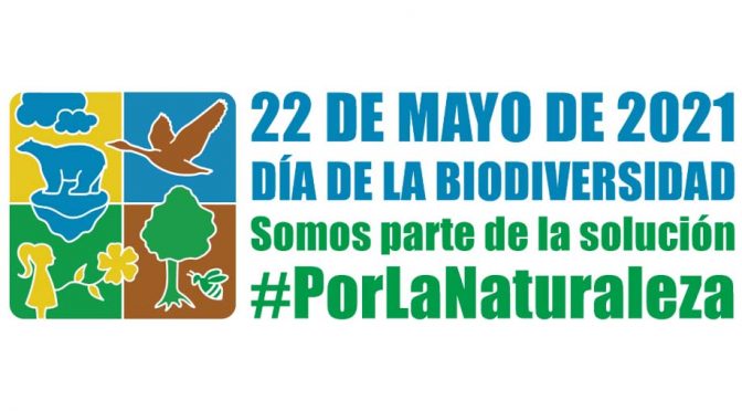 Mayo, mes de la biodiversidad  ¿Qué hace México por la biodiversidad?