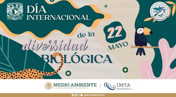 Día Internacional de la Diversidad Biológica 2021 (Gobierno de México)
