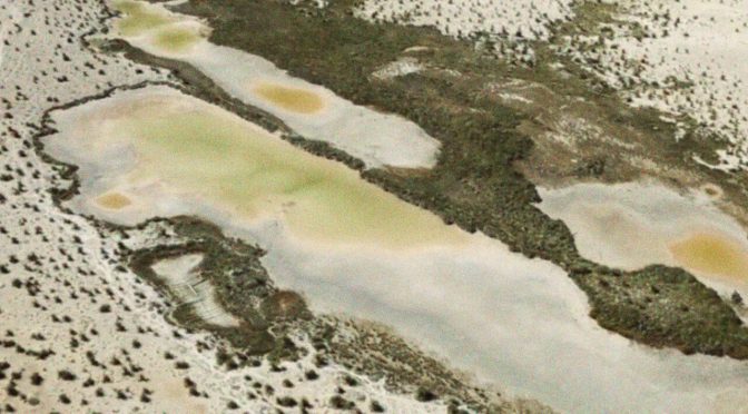 Opinión: El río que tomó 20 años revivir, hoy está muerto otra vez (Gatopardo)
