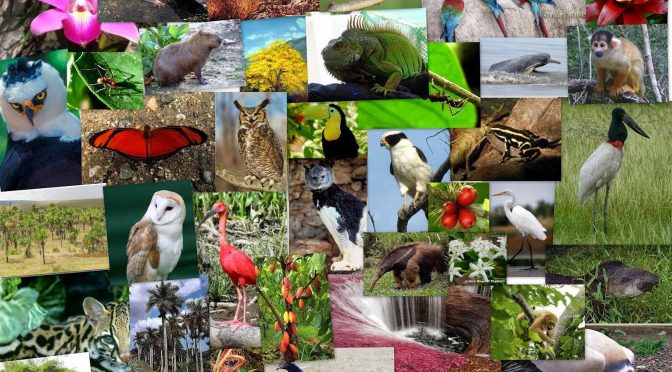 México – “Estamos en un límite severo para conservar la biodiversidad”(Crónica)