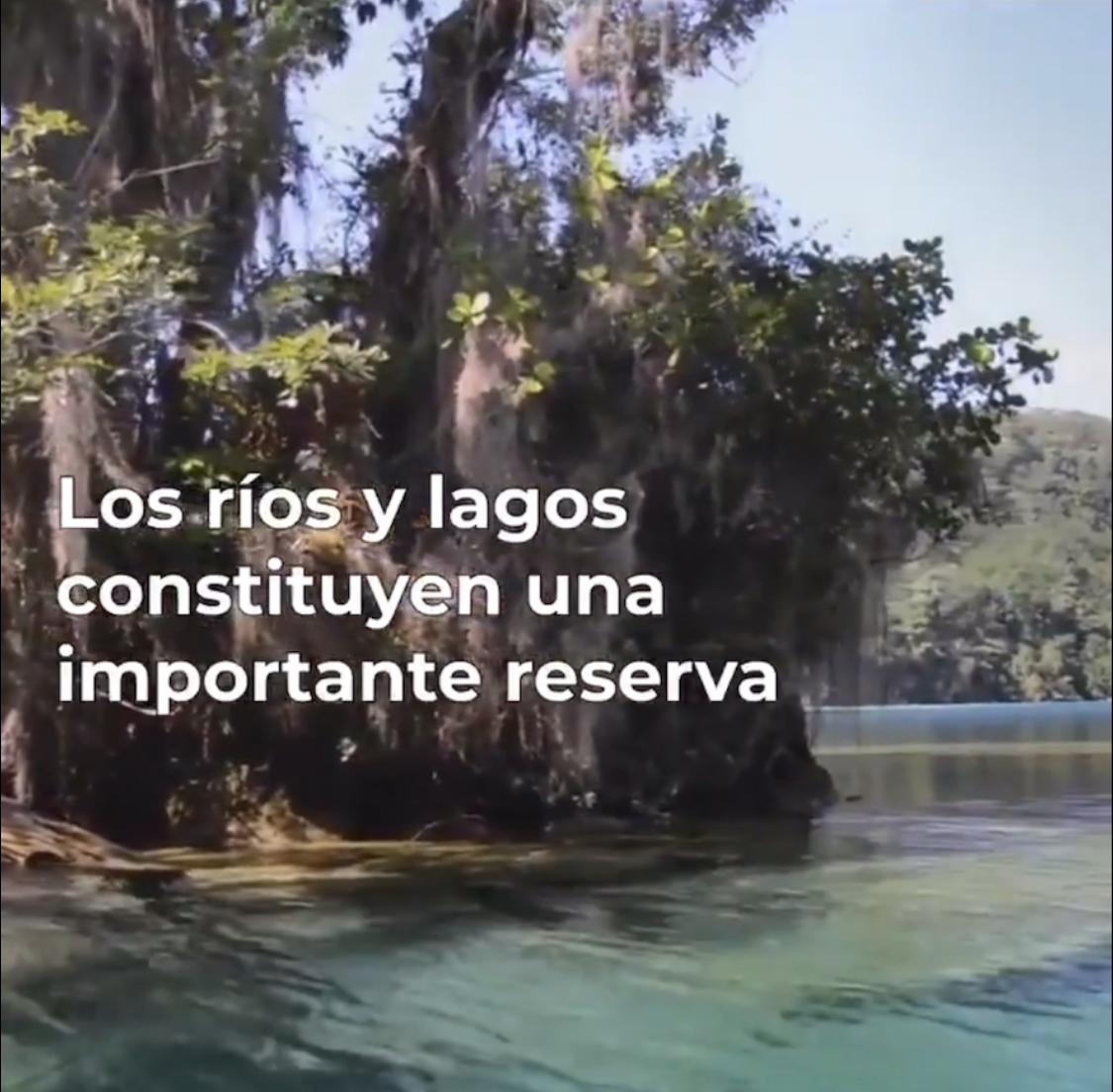 Áreas Naturales Protegidas (Video)- CONAGUA