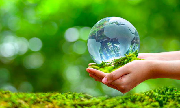 El PNUMA comenzará la “Década de la Restauración de los Ecosistemas” en el Día Mundial del Medio Ambiente (CGTN español)