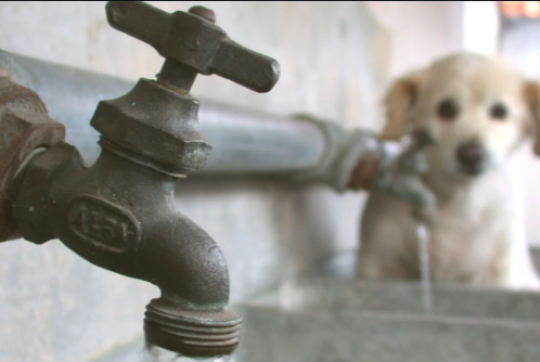 CDMX – Anuncian recorte de agua para el fin de semana en el Valle de México (El Universal)