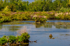 Tulancingo-Contaminación en Tejocotal: saneamiento de agua será inversión total de Puebla (El Sol de Tulancingo)