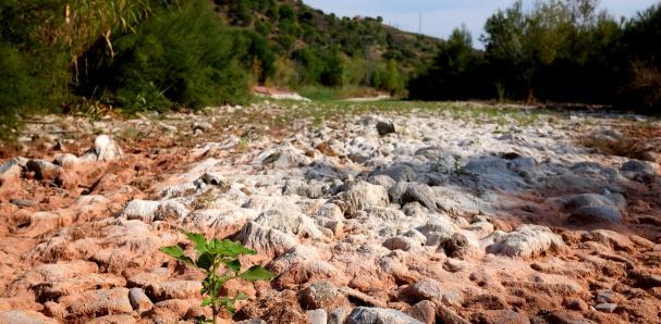 El plan hidrológico del Ebro amenaza con condenar al Siurana a seguir siendo “el río seco” (La Vanguardia)