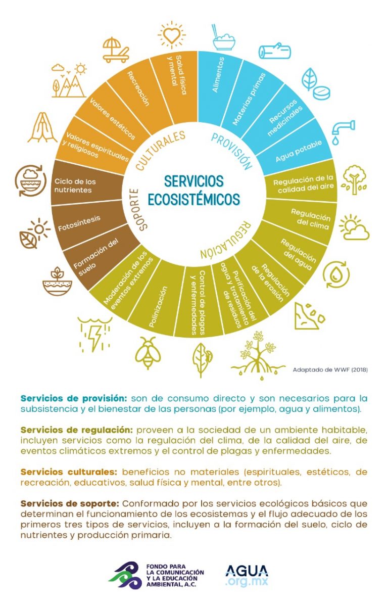 La importancia de frenar la degradación ecológica y promover la