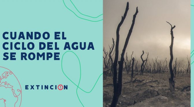México-Sequías e inundaciones: cuando el ciclo del agua se rompe (Sopitas.com)