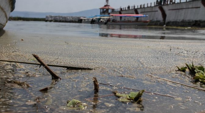 Guadalajara: Sobreexplotación de acuíferos y contaminación de Chapala dejarán sin agua a tapatíos (NTR)