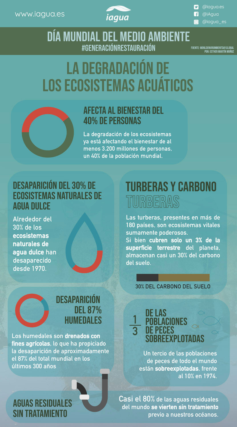 La Degradación de los Ecosistemas Acuáticos (Infografía)