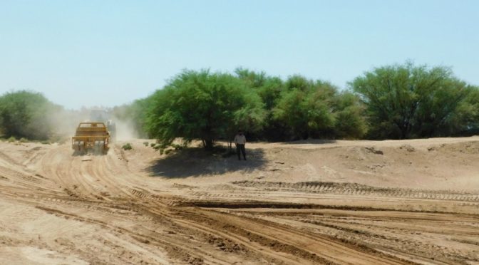 Argentina – La desertificación: el mal que aqueja a estas tierras (Programa Info Ambiente)