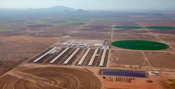 EUA – Mega-lecherías, pozos que desaparecen y la profundización de la crisis del agua en Arizona (The Guardian)