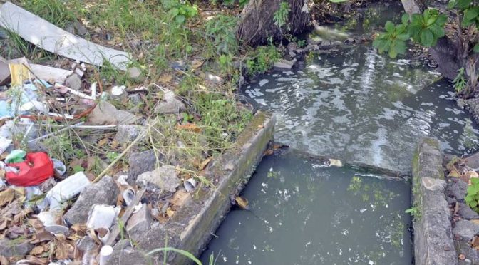 Tabasco – Laguna de las Ilusiones no recibe ayuda, sólo contaminación (El heraldo de Tabasco)