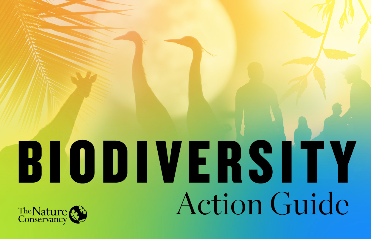 La Guía de Acción sobre Biodiversidad – TNC