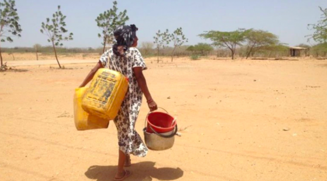 Colombia – Cargos a exdirectora de Parques Nacionales por irregularidades en la compra de agua potable para comunidades de la Guajira (Infobae)