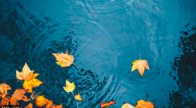 Chile – Entró en la recta final la propuesta de EH2030 sobre Institucionalidad para Gestión de los Recursos Hídricos en Chile  (Escenarios Hídricos Chile)