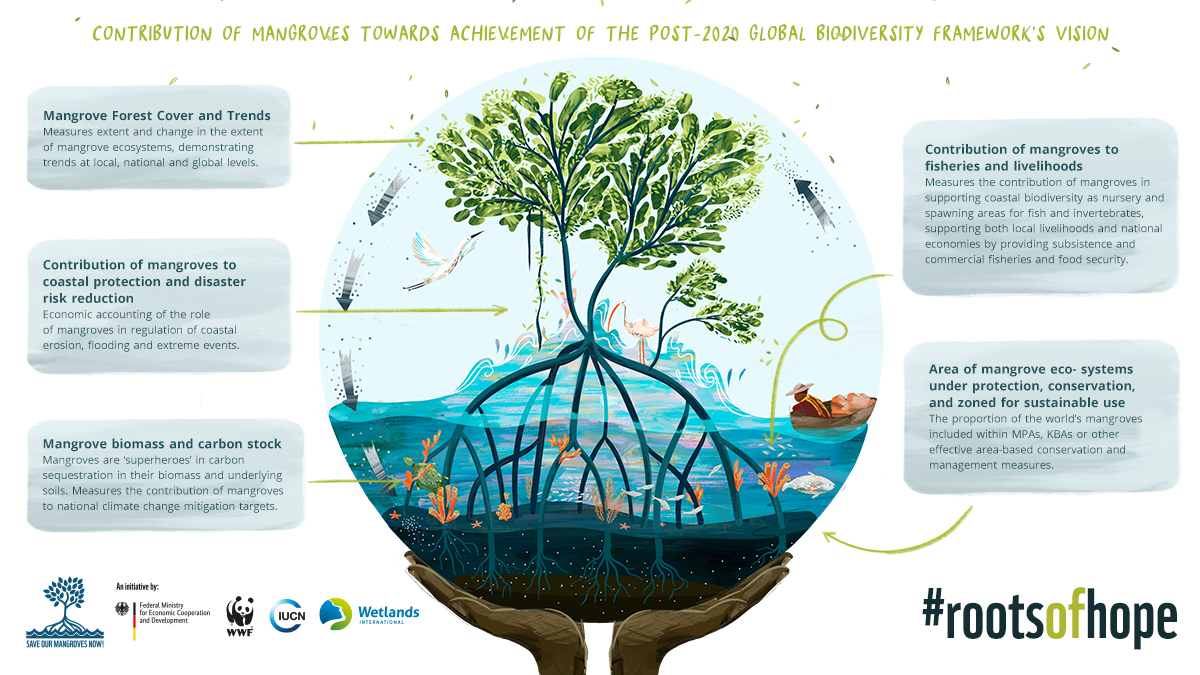 Orientación sobre indicadores de manglares en el marco mundial de la diversidad biológica posterior a 2020 (Save Our Mangroves Now!)