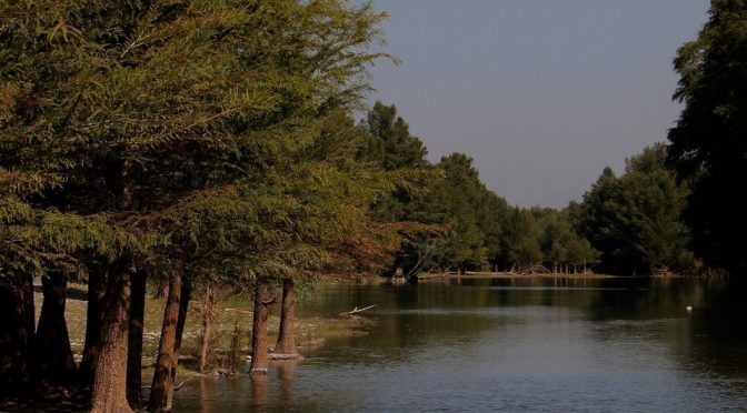 Comarca Lagunera-Agua Saludable para La Laguna pone en grave riesgo al Cañón de Fernández; Conagua responde (Milenio)